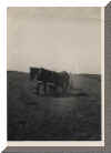 Unknown Farm in Canada 3.jpg (105631 bytes)