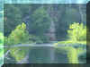 YellowCreek2.JPG (36745 bytes)