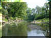 YellowCreek.JPG (57051 bytes)